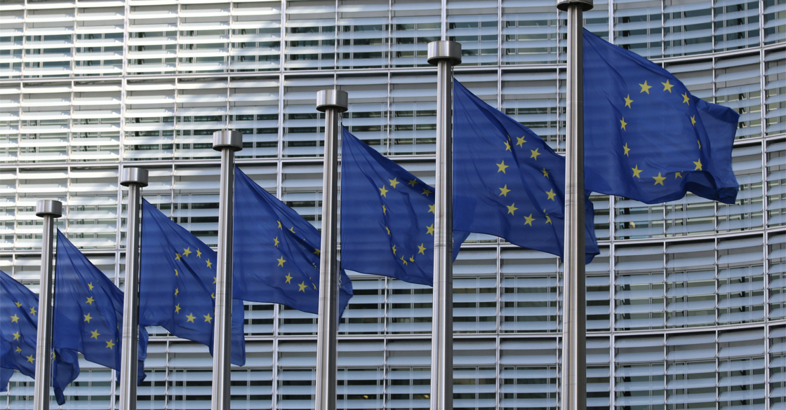L'immagine raffigura delle bandiere dell'unione europea
