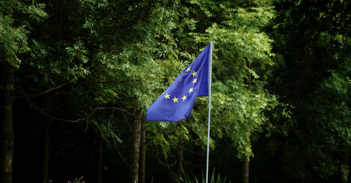 L'immagine raffigura la bandiera dell'unione europea con sfondo degli alberi